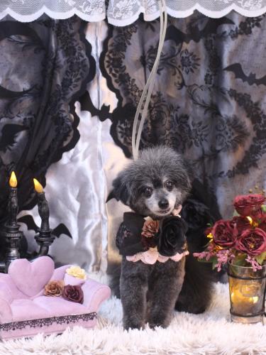 20231001ヒナちゃん